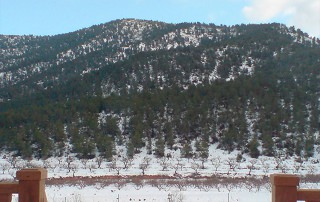 Vista de montañas nevadas desde el alojamiento