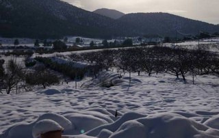 Entorno de la casa nevado